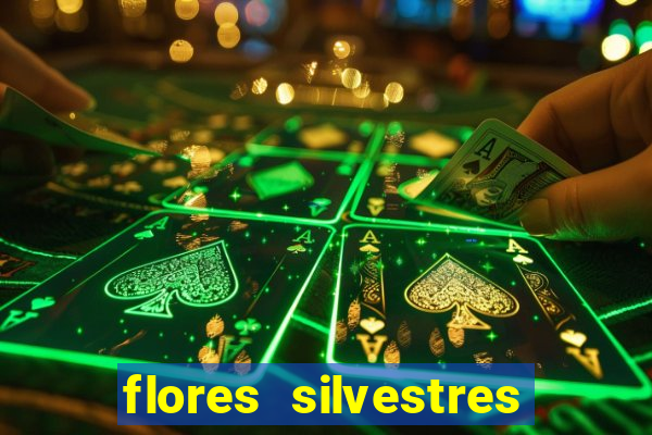 flores silvestres desbravadores desbravadores 25